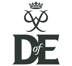 D of e logo