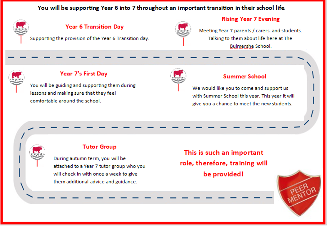 Peer Mentor Timeline