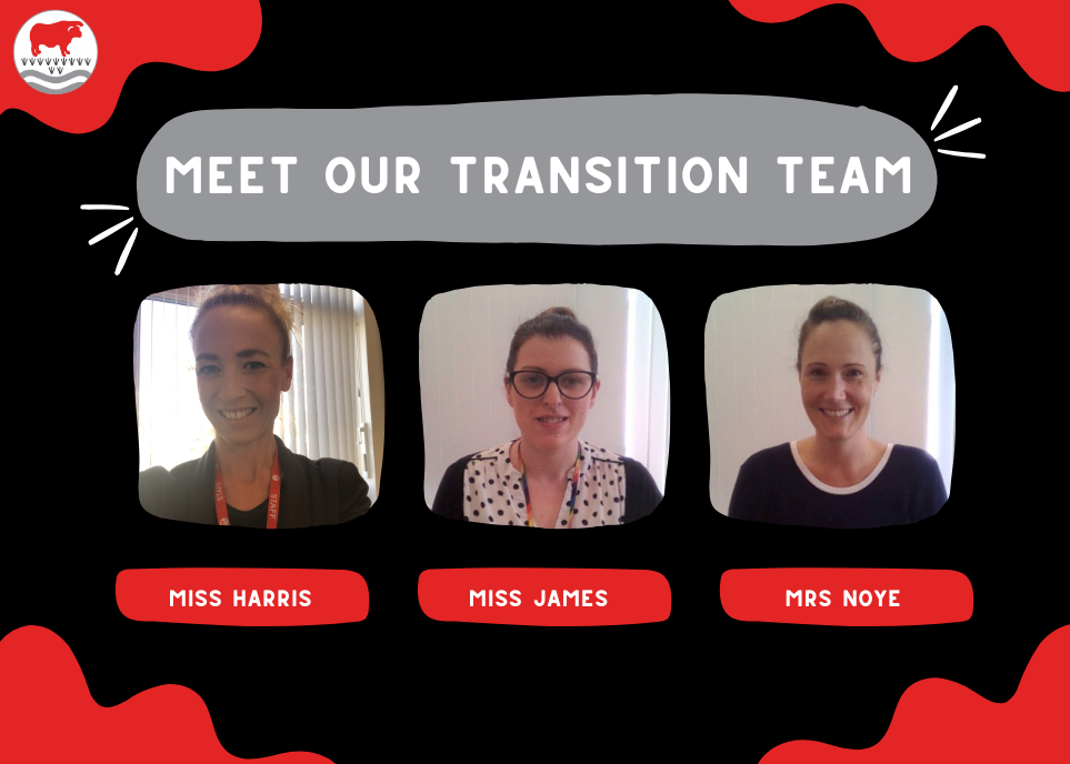 Meet the Transition Team