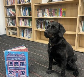 Buddy Library