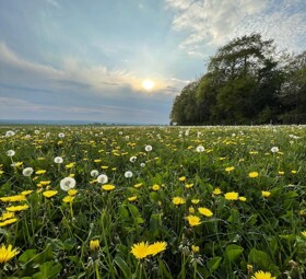 HPJ Year10 Silver Practice Apr25 (4)