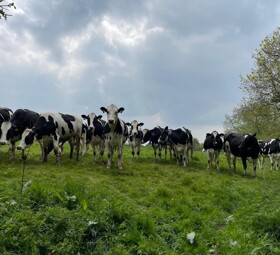 HPJ Year10 Silver Practice Apr25 (5)